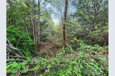 992 Sunrise Road, Brinnon, WA 98320 - Photo 10