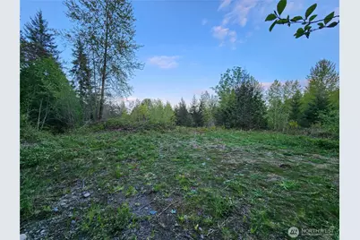 992 Sunrise Road, Brinnon, WA 98320 - Photo 1