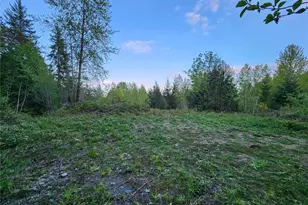 992 Sunrise Rd, Brinnon, WA 98320 - Photo 1