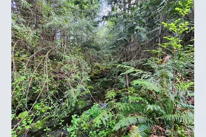 992 Sunrise Road, Brinnon, WA 98320 - Photo 8