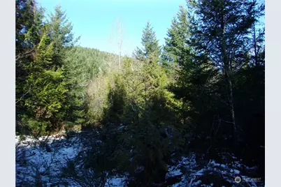 992 Sunrise Road, Brinnon, WA 98320 - Photo 14