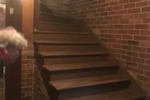 1125 Eckerson Rd, Centralia, WA 98531 - Photo 10