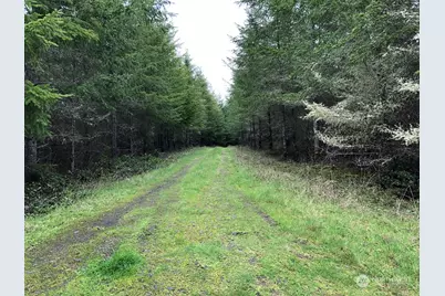217 Xx Thompson Creek Road, Tenino, WA 98589 - Photo 6