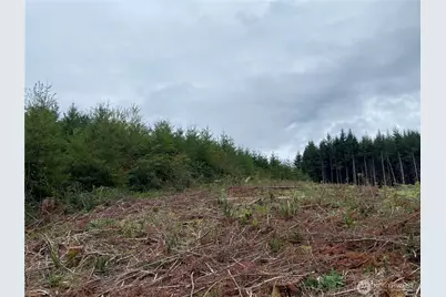 217 Xx Thompson Creek Road, Tenino, WA 98589 - Photo 10