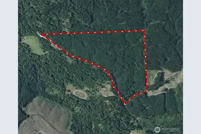 217 Xx Thompson Creek Road, Tenino, WA 98589 - Photo 2