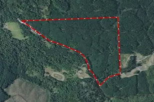 217 Xx Thompson Creek Rd, Tenino, WA 98589 - Photo 2