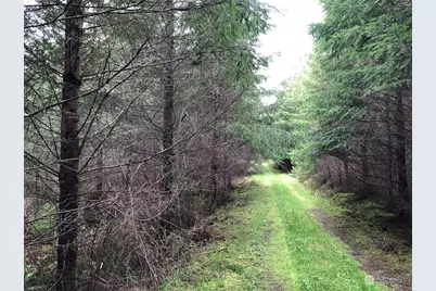 217 Xx Thompson Creek Road, Tenino, WA 98589 - Photo 8