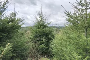 217 Xx Thompson Creek Rd, Tenino, WA 98589 - Photo 12