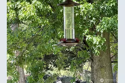 236 Wolf Fork Road, Dayton, WA 99328 - Photo 4