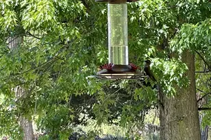 236 Wolf Fork Rd, Dayton, WA 99328 - Photo 4