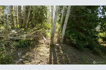 1774 Twin Oaks Lane, Freeland, WA 98249 - Photo 6