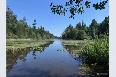 11024 Matthews Way, Anderson Island, WA 98303 - Photo 8