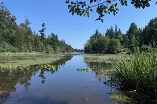 11024 Matthews Way, Anderson Island, WA 98303 - Photo 8