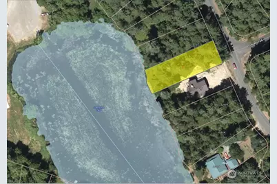 11024 Matthews Way, Anderson Island, WA 98303 - Photo 2