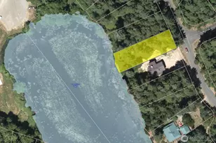 11024 Matthews Way, Anderson Island, WA 98303 - Photo 2