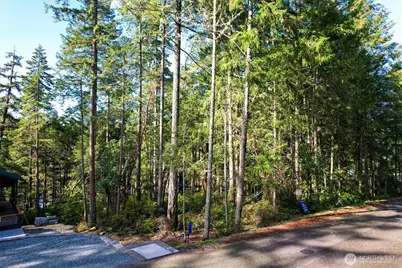 11024 Matthews Way, Anderson Island, WA 98303 - Photo 10