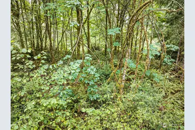 0 Lackey Road NW, Vaughn, WA 98394 - Photo 1