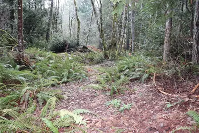 0 Lackey Road NW, Vaughn, WA 98394 - Photo 2