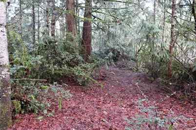 0 Lackey Road NW, Vaughn, WA 98394 - Photo 4