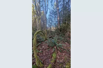 0 Lackey Road NW, Vaughn, WA 98394 - Photo 8