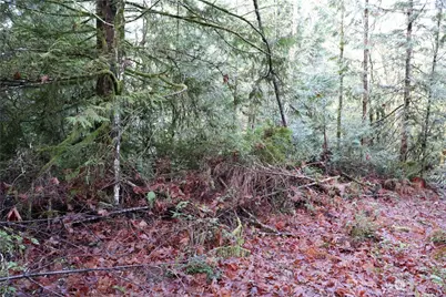 0 Lackey Road NW, Vaughn, WA 98394 - Photo 10