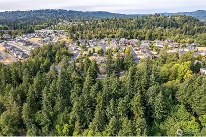 12 Forest Hill Estate Drive, Longview, WA 98632 - Photo 4