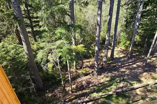 821 E Olde Lyme Rd, Shelton, WA 98584 - Photo 20