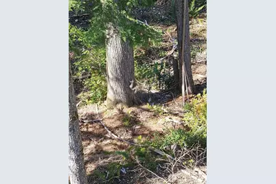 821 E Olde Lyme Road, Shelton, WA 98584 - Photo 28