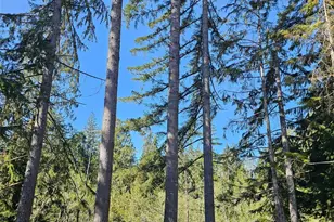 821 E Olde Lyme Rd, Shelton, WA 98584 - Photo 20