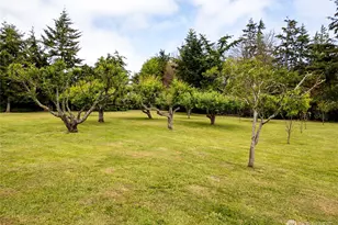 4495 Sequim-Dungeness Way, Sequim, WA 98382 - Photo 36