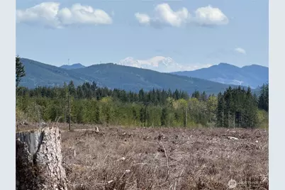2 Xx Oppelt Road, Onalaska, WA 98570 - Photo 1