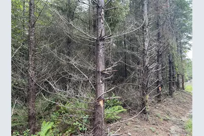 3 Xx Centralia Alpha Road, Onalaska, WA 98570 - Photo 8