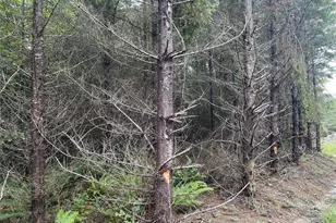 3 Xx Centralia Alpha Rd, Onalaska, WA 98570 - Photo 8