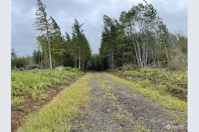 3 Xx Centralia Alpha Road, Onalaska, WA 98570 - Photo 4