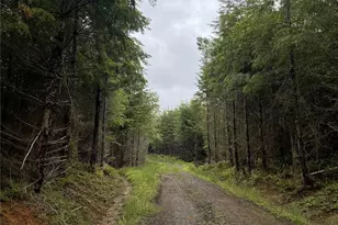 3 Xx Centralia Alpha Rd, Onalaska, WA 98570 - Photo 6