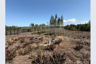 3 Xx Centralia Alpha Road, Onalaska, WA 98570 - Photo 10