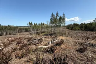 3 Xx Centralia Alpha Rd, Onalaska, WA 98570 - Photo 10