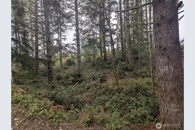 161 E Hemlock Lane, Union, WA 98592 - Photo 2
