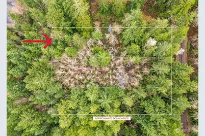 84 Lot 12 W Go Onna Drive, Quilcene, WA 98376 - Photo 1