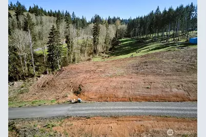 315 Dolan Road, Castle Rock, WA 98611 - Photo 2