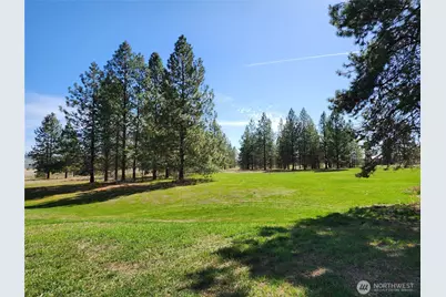 39024 Petrie Lane E, Davenport, WA 99122 - Photo 6