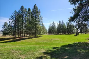 39024 Petrie Ln E, Davenport, WA 99122 - Photo 6