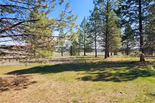 39024 Petrie Ln E, Davenport, WA 99122 - Photo 30