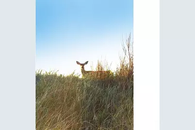 31405 J Place, Ocean Park, WA 98640 - Photo 12