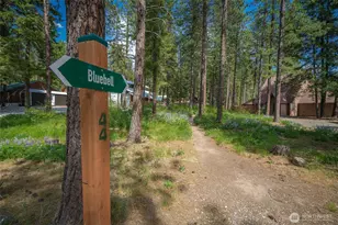 25312 Saddle St, Leavenworth, WA 98826 - Photo 38