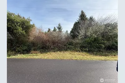 148 N Narwhal Loop NW, Ocean Shores, WA 98569 - Photo 1