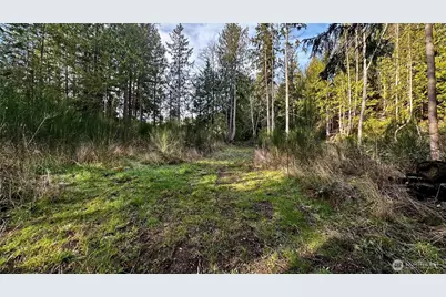 9999 Holland Drive, Port Townsend, WA 98368 - Photo 4
