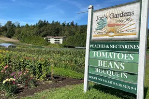 820 32nd St, Bellingham, WA 98225 - Photo 6