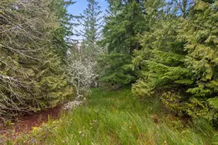 2641 28th Ave NW, Olympia, WA 98502 - Photo 22