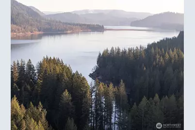 168 Yale Landing Road, Cougar, WA 98616 - Photo 2